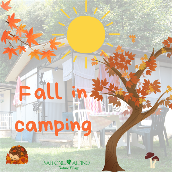 Fall in camping